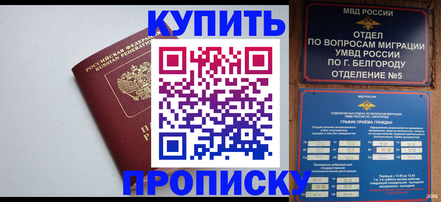 прописка регистрация в Протвино